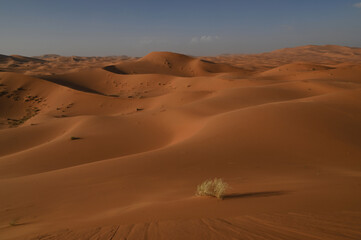 Maroc, Dunes de Merzouga