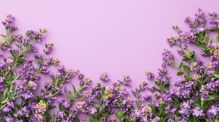 Obraz premium Purple Flowers Border on Lavender Background - Spring Floral Frame