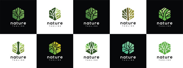 Collection of Nature tree logo designs. Hexagon nature tree logo template. Nature logo symbol icon	
