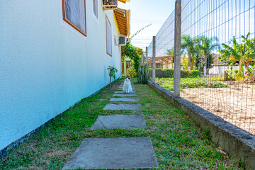 gato branco e preto sentado no quintal
