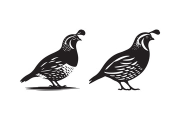Stylized Quail Bird Silhouettes Vector Art Illustration
