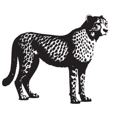 Fototapeta premium Tiger vector styl illustratron 2025