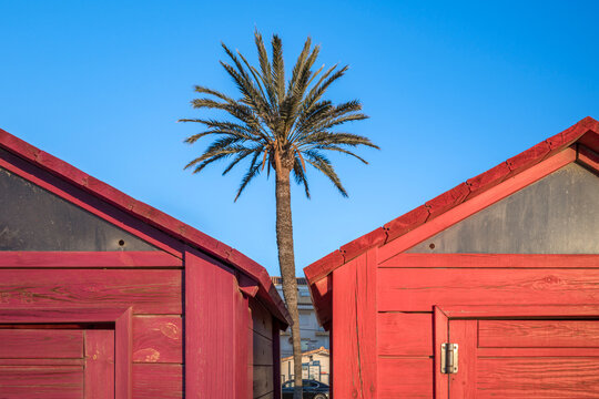 Palm tree framed by vibrant red beach cabins against clear blue sky. Mediterranean beachfront wooden huts with sandy pathway creating symmetrical composition. Tropical coastal with red structures