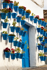 Fachada con puerta azul y macetas azules.