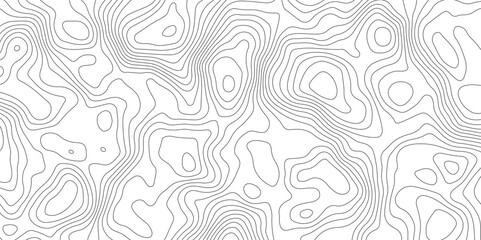 Abstract Topographic Map Lines. Monochrome Terrain Lines Art. Wavy Geographical Contour Lines