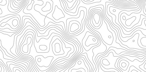 Abstract Topographic Map Lines. Monochrome Terrain Lines Art. Wavy Geographical Contour Lines