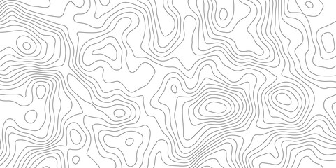 Abstract Topographic Map Lines. Monochrome Terrain Lines Art. Wavy Geographical Contour Lines