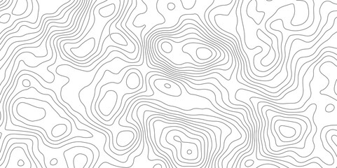 Abstract Topographic Map Lines. Monochrome Terrain Lines Art. Wavy Geographical Contour Lines