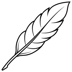 Fototapeta premium Vector feather illustration for design, branding, and nature-related projects