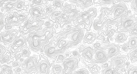 Obraz premium Topographic map isolated on white background for geographical representation, cartography, and terrain modeling.