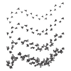 	
bird tracks,chicken tracks icon,vector illustration	
