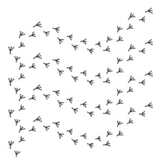 	
bird tracks,chicken tracks icon,vector illustration	
