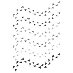 	
bird tracks,chicken tracks icon,vector illustration	
