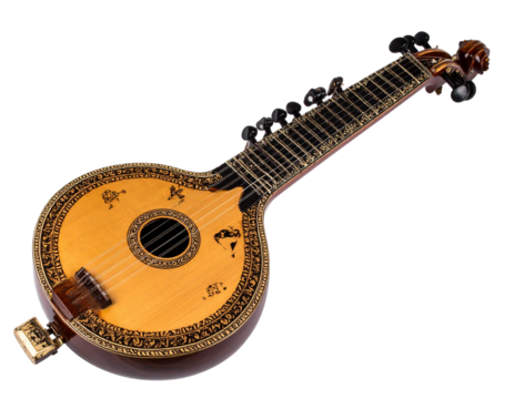 Ornate Stringed Instrument