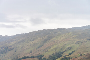 Scotland 295