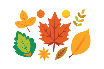 Naklejka premium autumn leaves vector illustration