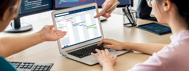 Project planning software for brisk business project management on the computer screen showing...