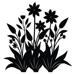 ornamental grass in sunlight