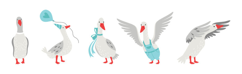 Grey Goose Character in Different Activity Vector Set © topvectors