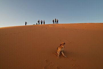 dunes de Merzouga (Maroc)