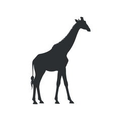 Silhouette of a Giraffe Standing Tall Against a White Background