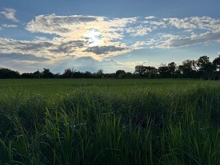 Scenic landscape with green meadow grass and blue sky beautiful clouds.