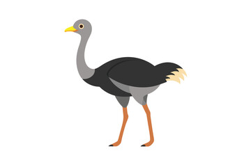 ostrich cartoon isolated on white