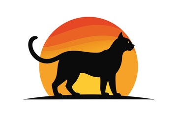 black cat on a white background