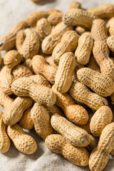 Raw Organic Unpeeled Peanuts in the Shell