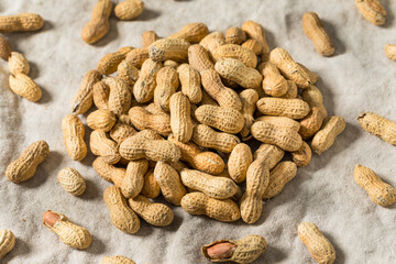 Raw Organic Unpeeled Peanuts in the Shell