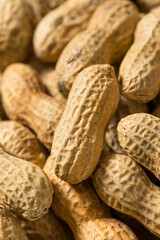 Raw Organic Unpeeled Peanuts in the Shell