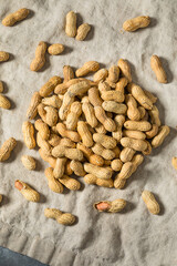 Raw Organic Unpeeled Peanuts in the Shell