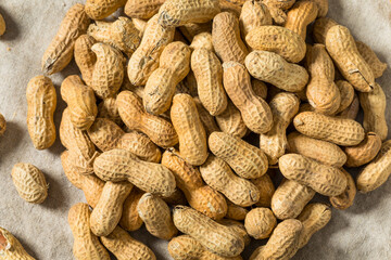 Raw Organic Unpeeled Peanuts in the Shell