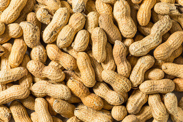 Raw Organic Unpeeled Peanuts in the Shell