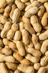 Raw Organic Unpeeled Peanuts in the Shell