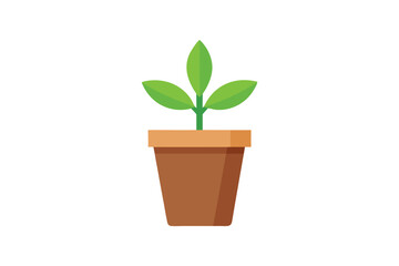 green plant in a pot