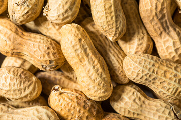 Raw Organic Unpeeled Peanuts in the Shell