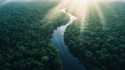 Aerial view of a meandering river through lush forests scenic landscape photography nature high perspective