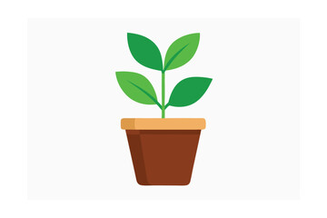 green plant in a pot © Rk