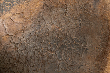 Old cracked brown leather, texture