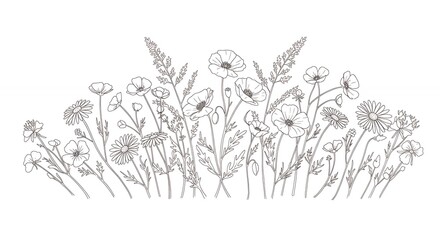 Monochromatic wildflower illustration design
