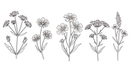 Set of outline flowers