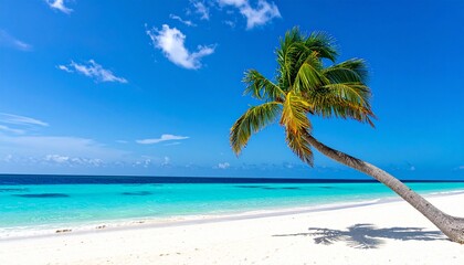 serene tropical beach scene featuring a single palm tree leaning gracefully over pristine white sand and turquoise water under a vibrant blue sky