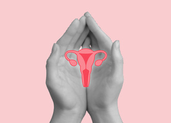 uterus, ovaries, and reproductive system. Therapy and medical care for intimate health, including