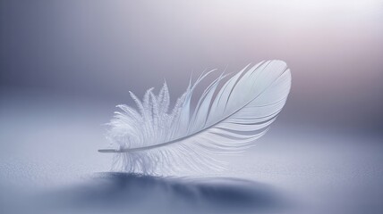 Obraz premium Delicate white feather gently resting on a smooth surface with soft light illuminating its intricate details