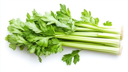 Captivating topdown view of a single stalk of celery isolated on white background for culinary photography