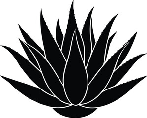 aloe vera plant vector icon