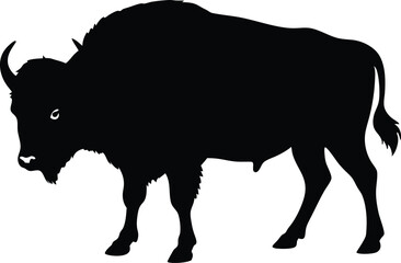 bison buffalo animal silhouette