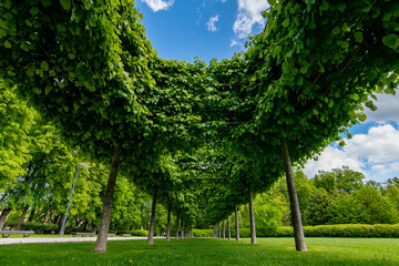 Sustain green environment. Eco friendly modern city. Green Energy Expo. Renewable Energy Global Summit. International Green Energy Conference. 2025 2