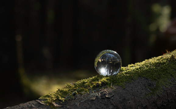 Green globe, environmental concept. Earth planet with transparent glass sphere, surrounded by forest